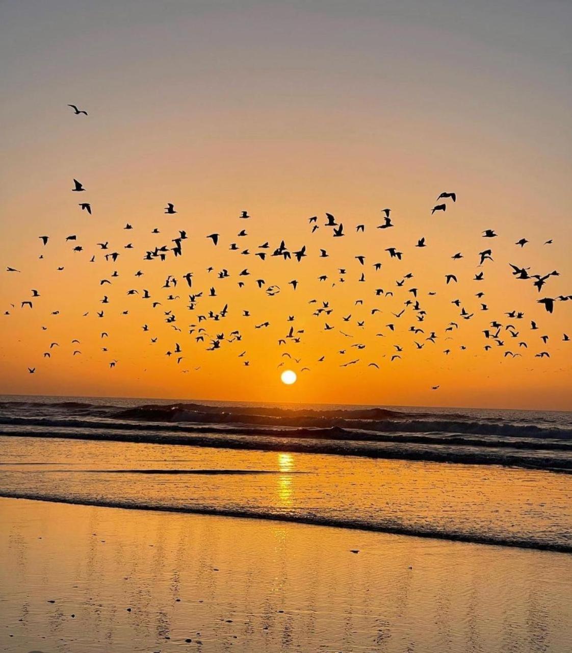 Apartment Vip - - - - Vida De Lujo - - - - - - - Vistas Al Mar - - - - - - -netflix - - - - - - 2 Piscinas - - - - - 5 Minutos De Playa - - - - - - - - - - Garaje Private - - - - - Asilah