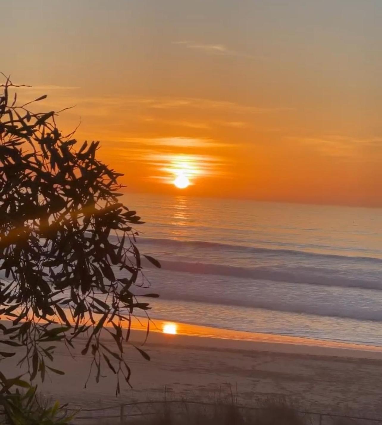 Vip - - - - Vida De Lujo - - - - - - - Vistas Al Mar - - - - - - -netflix - - - - - - 2 Piscinas - - - - - 5 Minutos De Playa - - - - - - - - - - Garaje Private - - - - - Apartment
