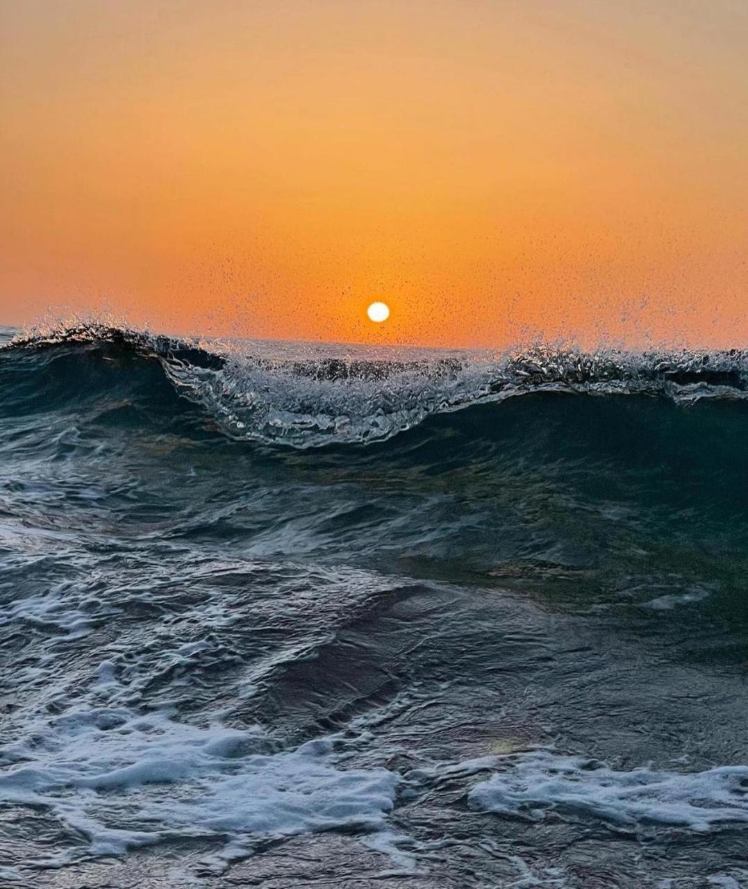 Vip - - - - Vida De Lujo - - - - - - - Vistas Al Mar - - - - - - -netflix - - - - - - 2 Piscinas - - - - - 5 Minutos De Playa - - - - - - - - - - Garaje Private - - - - - *