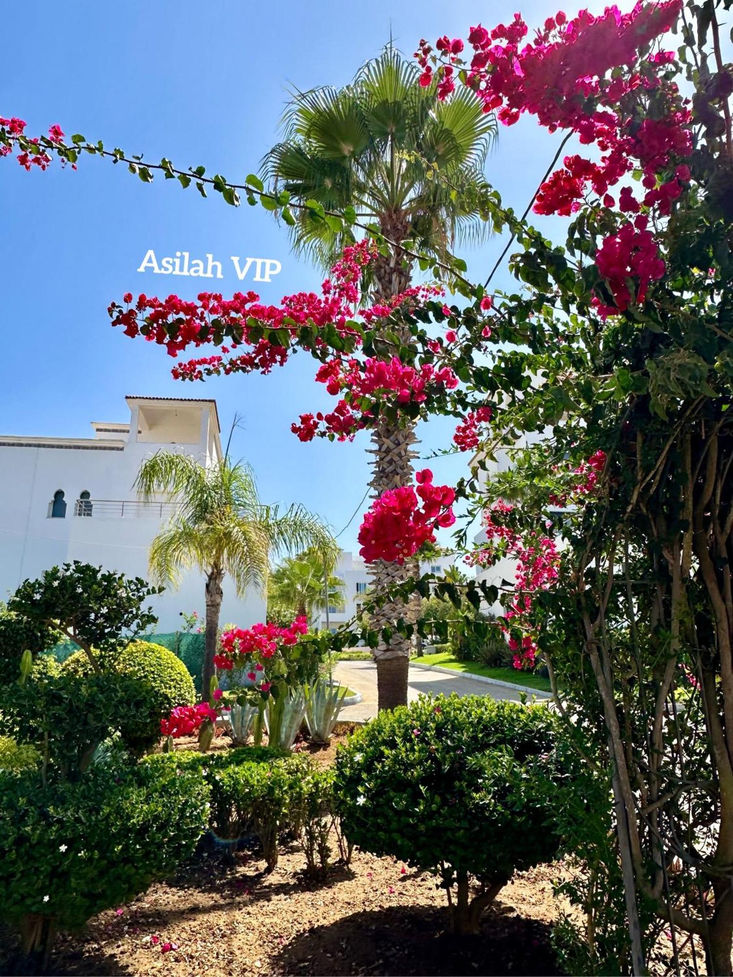 Apartment Vip - - - - Vida De Lujo - - - - - - - Vistas Al Mar - - - - - - -netflix - - - - - - 2 Piscinas - - - - - 5 Minutos De Playa - - - - - - - - - - Garaje Private - - - - - *