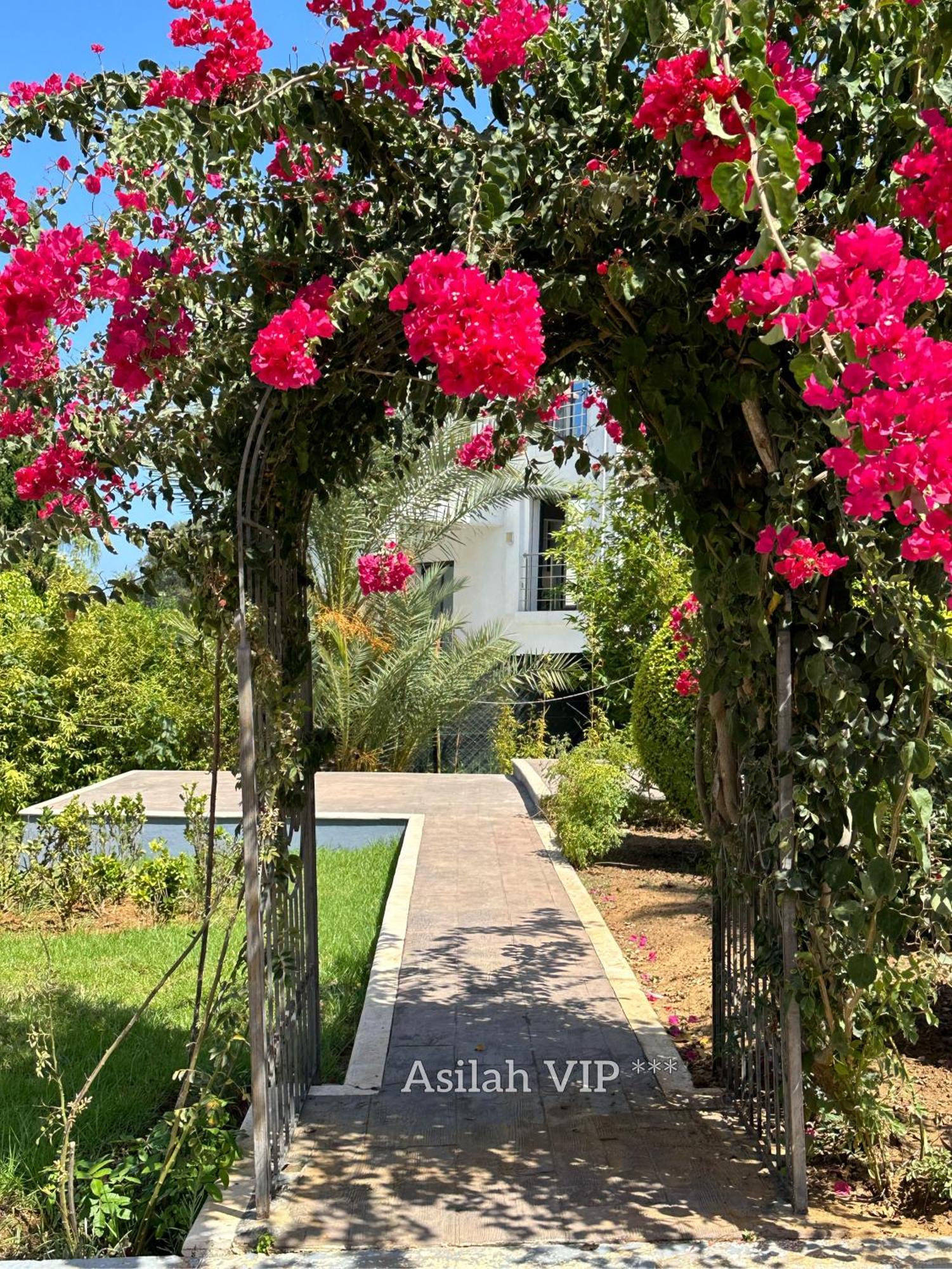 Vip - - - - Vida De Lujo - - - - - - - Vistas Al Mar - - - - - - -netflix - - - - - - 2 Piscinas - - - - - 5 Minutos De Playa - - - - - - - - - - Garaje Private - - - - - Apartment *