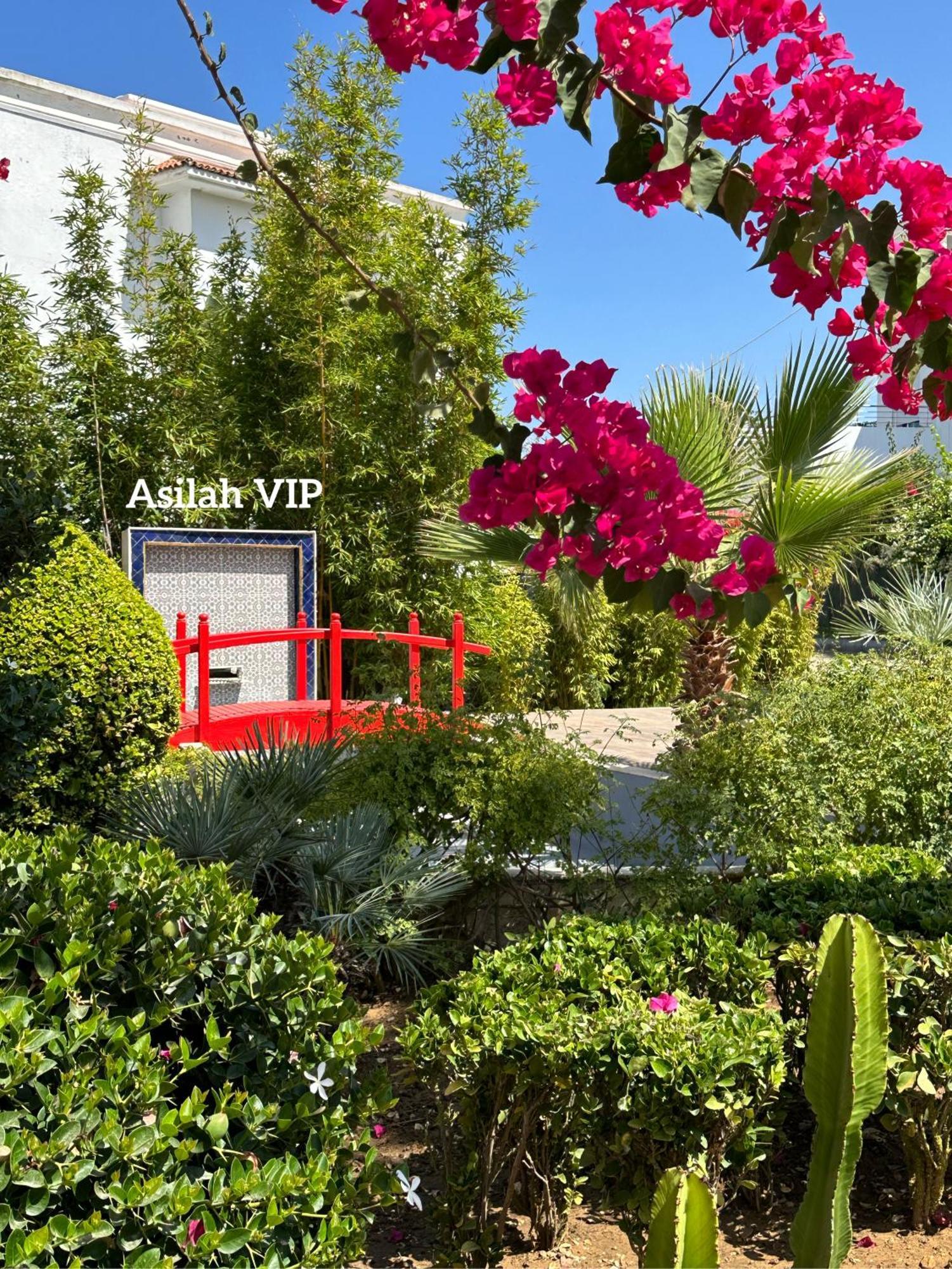 Vip - - - - Vida De Lujo - - - - - - - Vistas Al Mar - - - - - - -netflix - - - - - - 2 Piscinas - - - - - 5 Minutos De Playa - - - - - - - - - - Garaje Private - - - - - Asilah