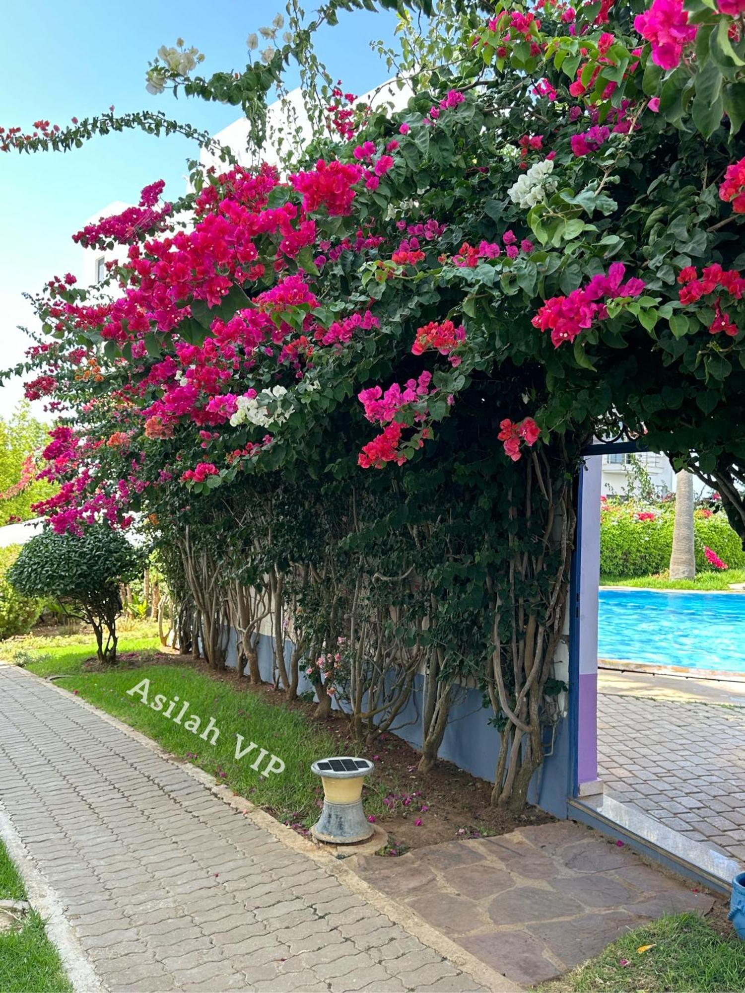 Apartment Vip - - - - Vida De Lujo - - - - - - - Vistas Al Mar - - - - - - -netflix - - - - - - 2 Piscinas - - - - - 5 Minutos De Playa - - - - - - - - - - Garaje Private - - - - - *