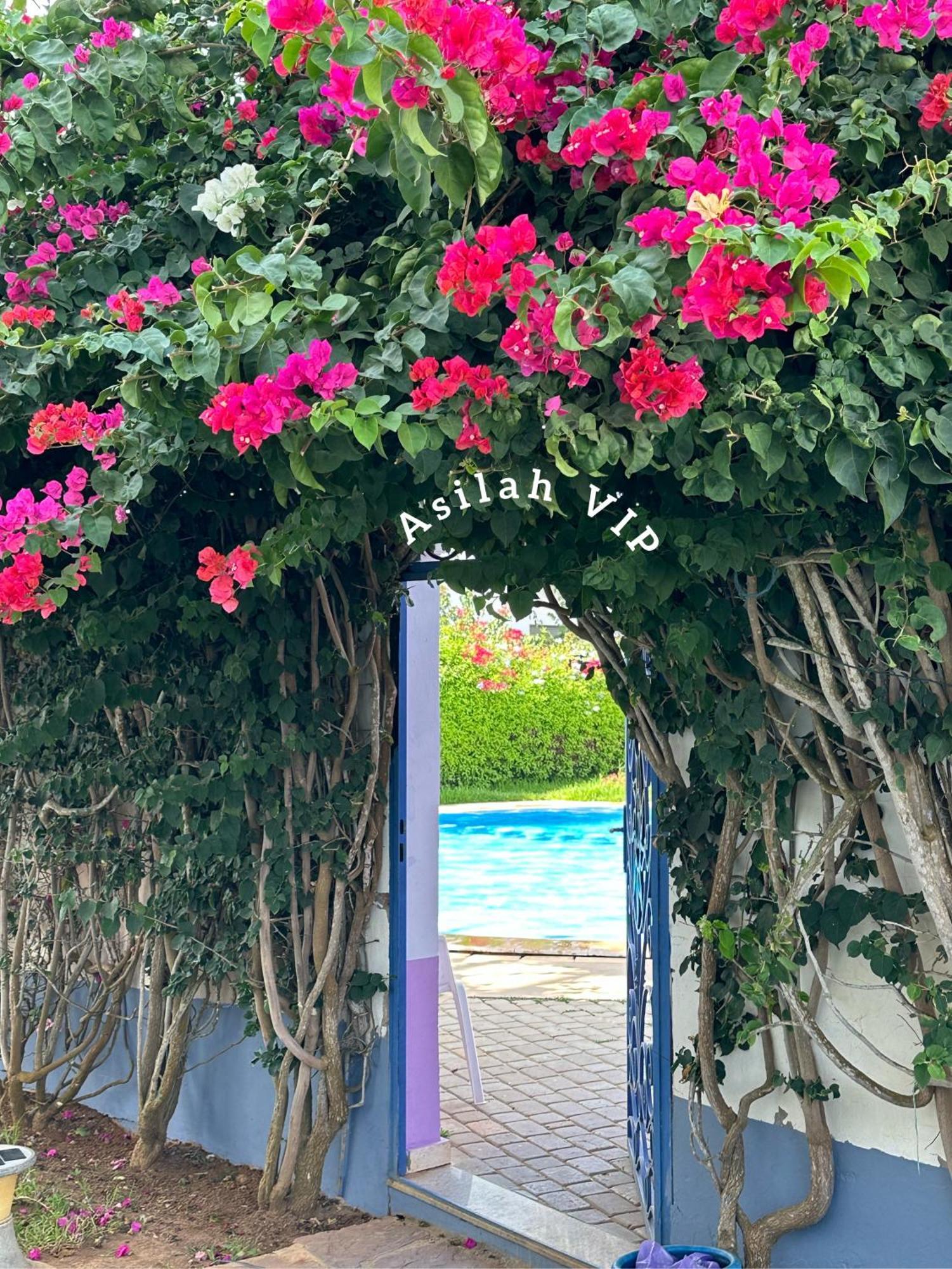 Vip - - - - Vida De Lujo - - - - - - - Vistas Al Mar - - - - - - -netflix - - - - - - 2 Piscinas - - - - - 5 Minutos De Playa - - - - - - - - - - Garaje Private - - - - - Asilah