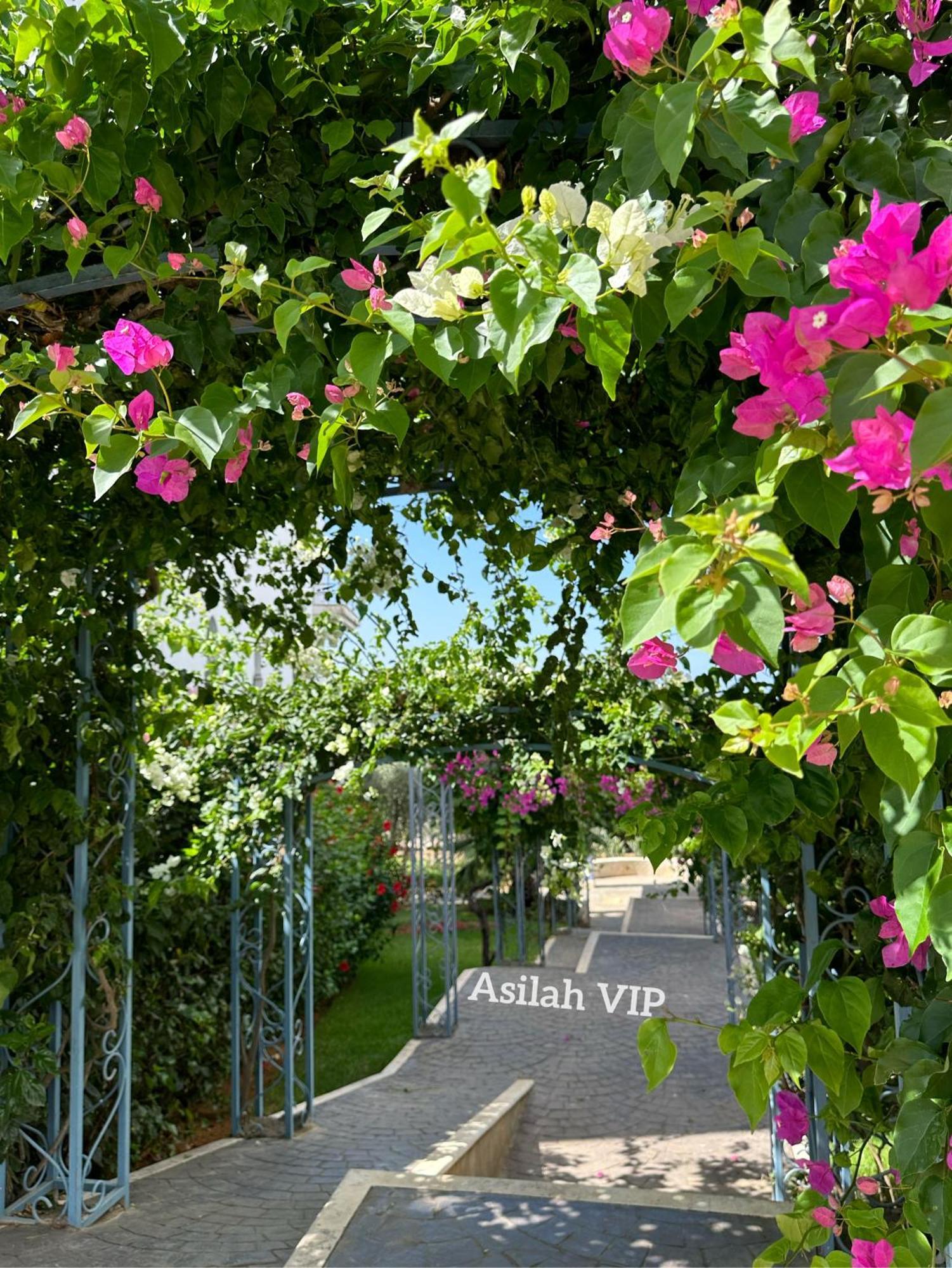Apartment Vip - - - - Vida De Lujo - - - - - - - Vistas Al Mar - - - - - - -netflix - - - - - - 2 Piscinas - - - - - 5 Minutos De Playa - - - - - - - - - - Garaje Private - - - - - *