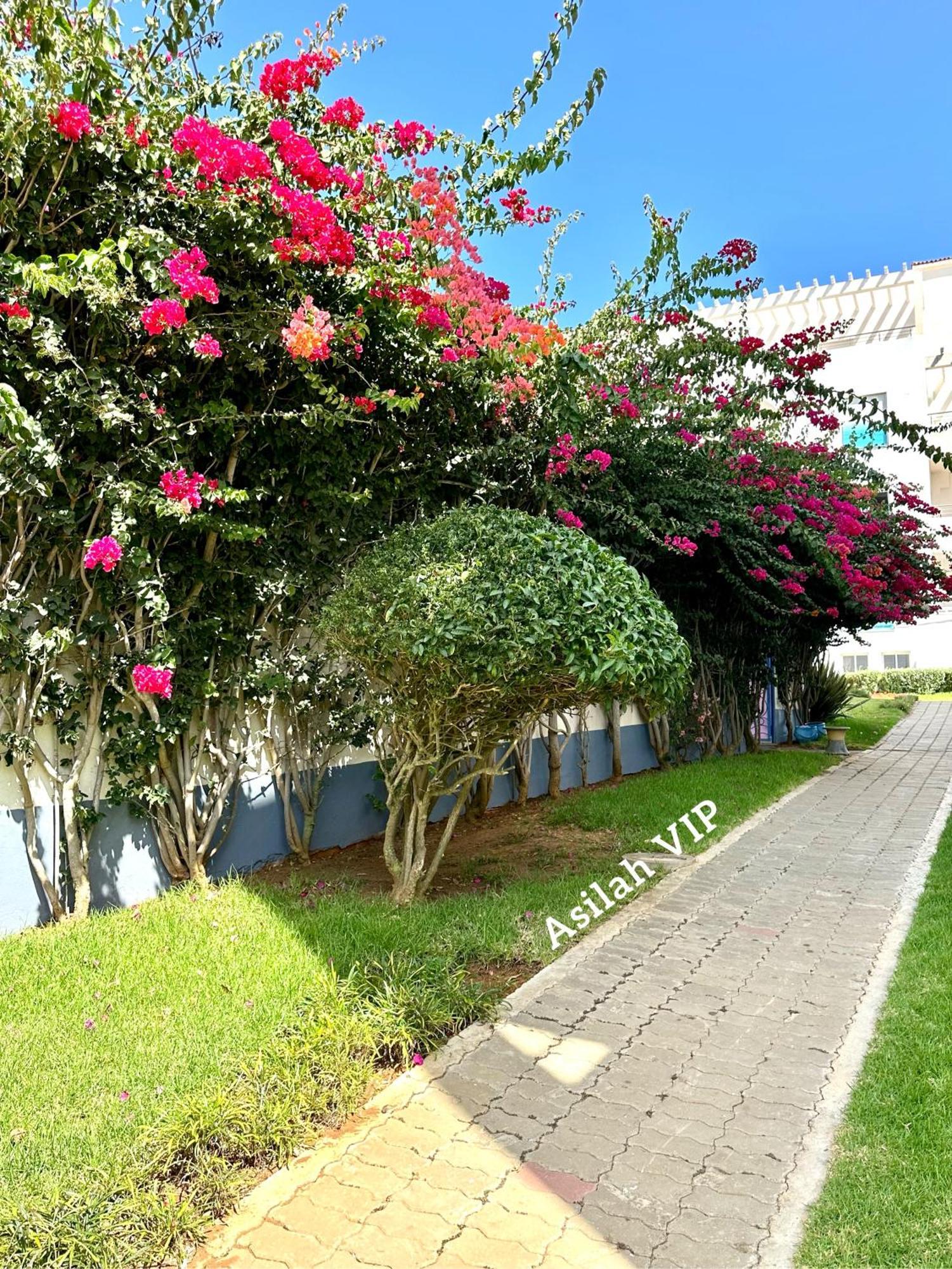 Vip - - - - Vida De Lujo - - - - - - - Vistas Al Mar - - - - - - -netflix - - - - - - 2 Piscinas - - - - - 5 Minutos De Playa - - - - - - - - - - Garaje Private - - - - - Apartment Asilah